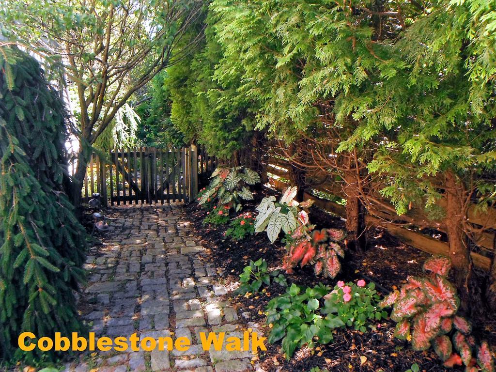 Sheppard'S Place Bed & Breakfast Narragansett Dış mekan fotoğraf